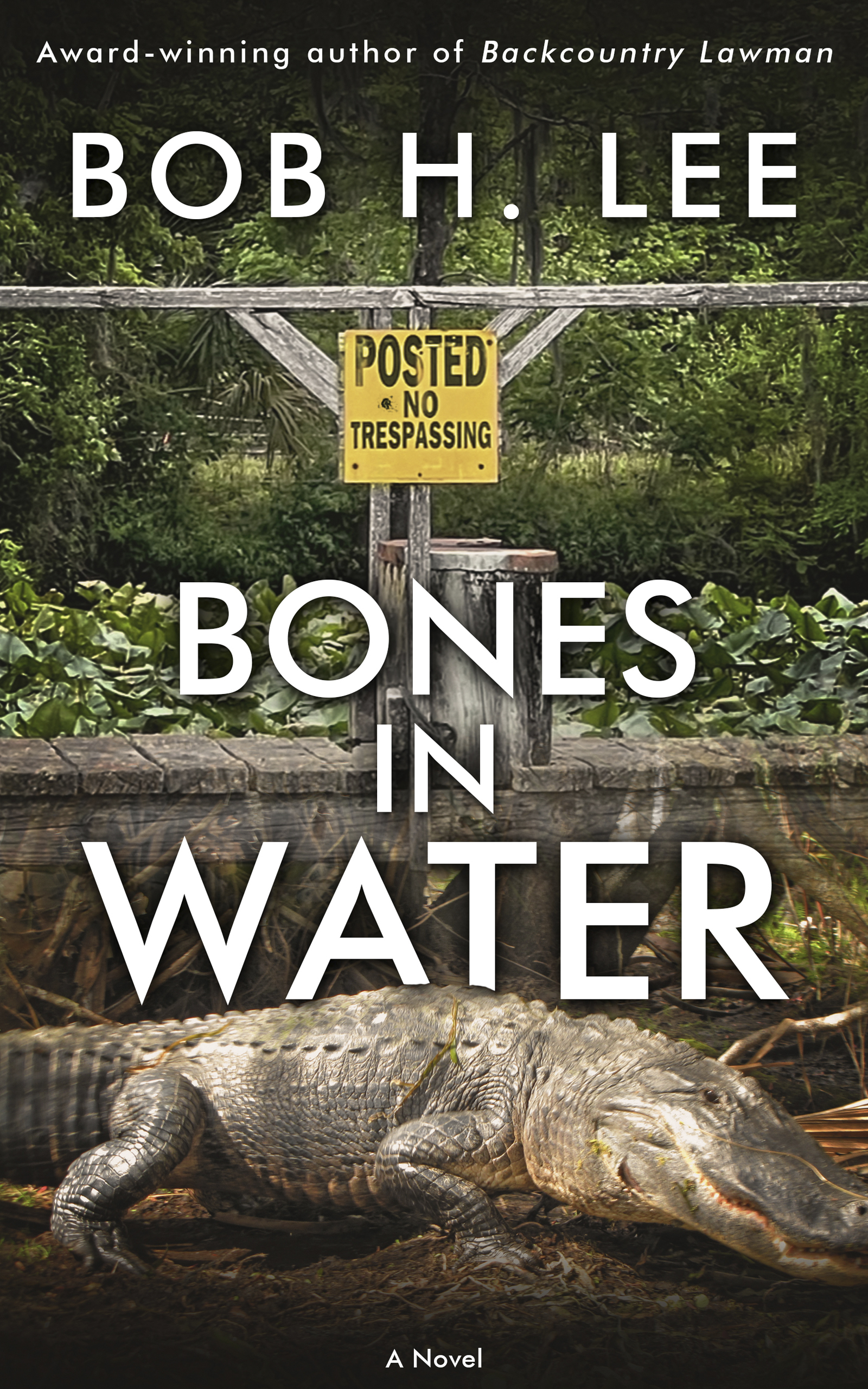 Book cover of Bones in Water